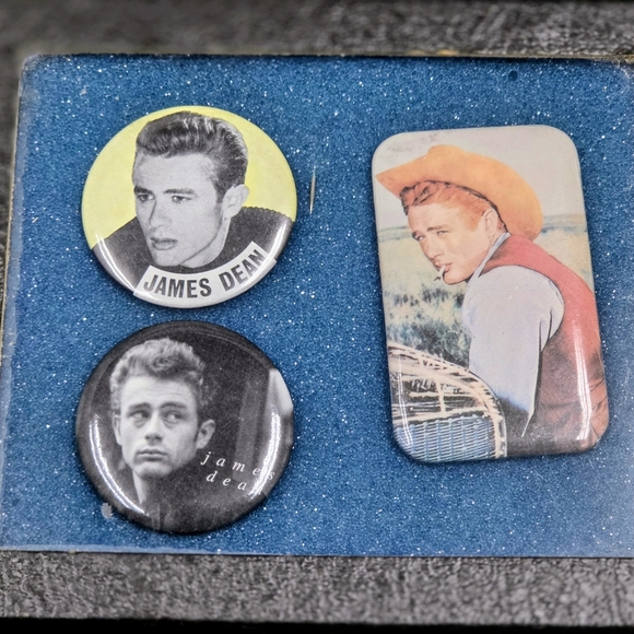 Meet your Posher, Brandi - Picture 10 of 16